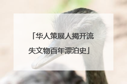 华人策展人揭开流失文物百年漂泊史