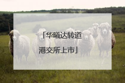 华曦达转道港交所上市