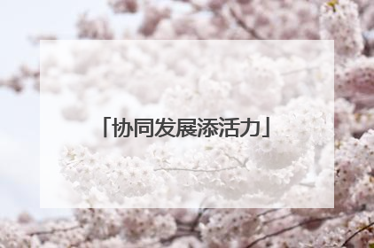协同发展添活力