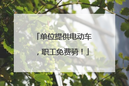 单位提供电动车，职工免费骑！