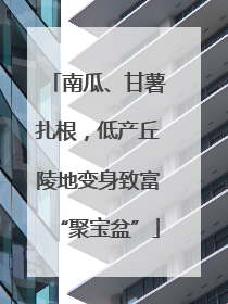 南瓜、甘薯扎根，低产丘陵地变身致富“聚宝盆”