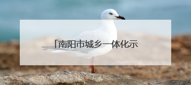 南阳市城乡一体化示范区税务局：精准服务护航企业合规发展