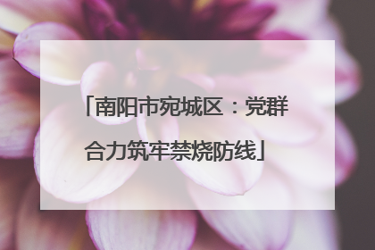 南阳市宛城区：党群合力筑牢禁烧防线