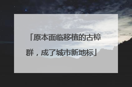 原本面临移植的古樟群，成了城市新地标