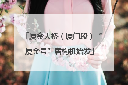 厦金大桥（厦门段）“厦金号”盾构机始发