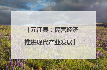 元江县：民营经济推进现代产业发展
