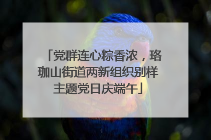 党群连心粽香浓，珞珈山街道两新组织别样主题党日庆端午