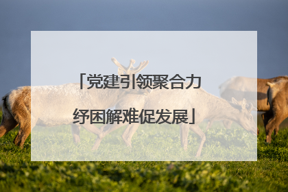 党建引领聚合力 纾困解难促发展