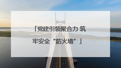 党建引领聚合力 筑牢安全“防火墙”