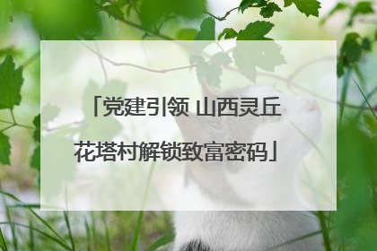 党建引领 山西灵丘花塔村解锁致富密码