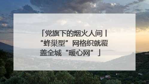 党旗下的烟火人间丨“蜂巢型”网格织就覆盖全城“暖心网”