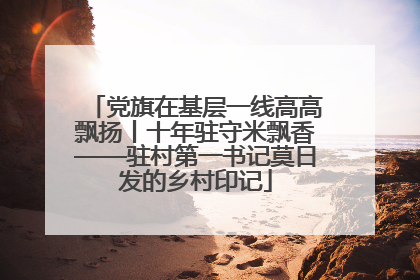 党旗在基层一线高高飘扬丨十年驻守米飘香——驻村第一书记莫日发的乡村印记