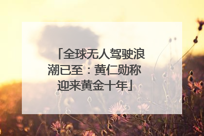 全球无人驾驶浪潮已至：黄仁勋称迎来黄金十年