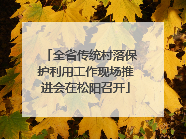 全省传统村落保护利用工作现场推进会在松阳召开
