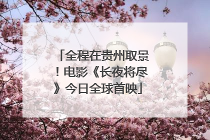 全程在贵州取景！电影《长夜将尽》今日全球首映