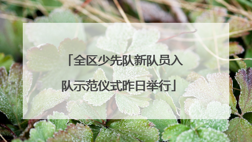 全区少先队新队员入队示范仪式昨日举行