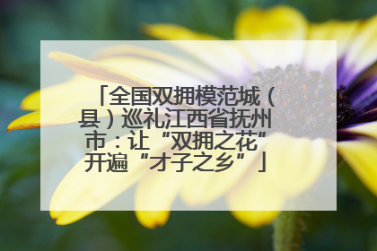 全国双拥模范城（县）巡礼江西省抚州市：让“双拥之花”开遍“才子之乡”