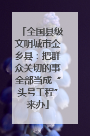 全国县级文明城市金乡县：把群众关切的事全部当成“头号工程”来办