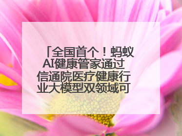 全国首个！蚂蚁AI健康管家通过信通院医疗健康行业大模型双领域可信评估