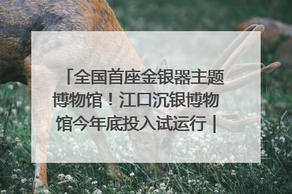 全国首座金银器主题博物馆！江口沉银博物馆今年底投入试运行｜万千气象看四川