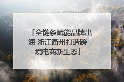 全链条赋能品牌出海 浙江衢州打造跨境电商新生态