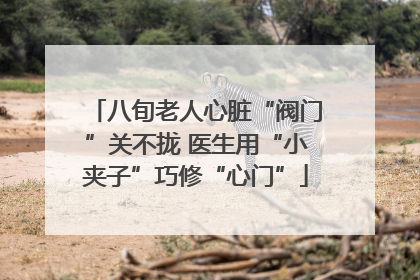 八旬老人心脏“阀门”关不拢 医生用“小夹子”巧修“心门”