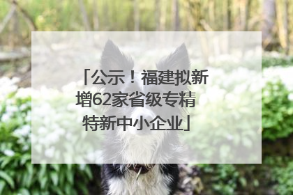 公示！福建拟新增62家省级专精特新中小企业