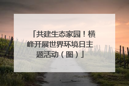 共建生态家园！横峰开展世界环境日主题活动（图）
