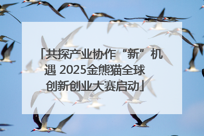 共探产业协作“新”机遇 2025金熊猫全球创新创业大赛启动
