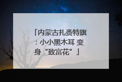 内蒙古扎赉特旗：小小黑木耳 变身“致富花”