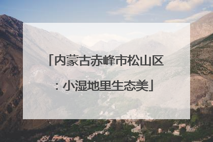 内蒙古赤峰市松山区：小湿地里生态美