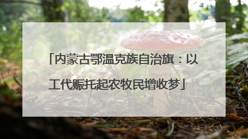 内蒙古鄂温克族自治旗：以工代赈托起农牧民增收梦