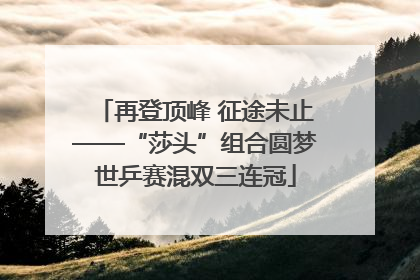 再登顶峰 征途未止——“莎头”组合圆梦世乒赛混双三连冠