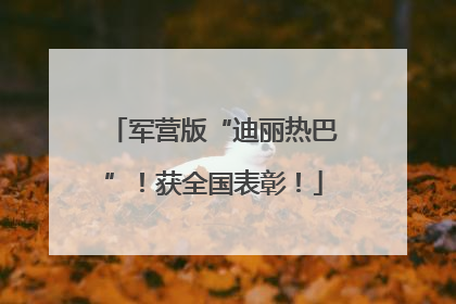 军营版“迪丽热巴”！获全国表彰！