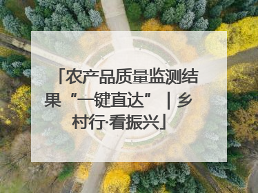 农产品质量监测结果“一键直达”｜乡村行·看振兴