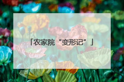 农家院“变形记”