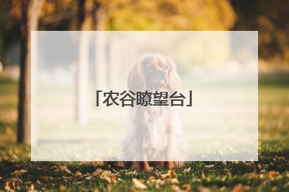 农谷瞭望台