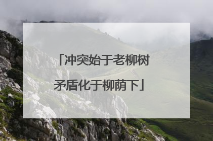 冲突始于老柳树 矛盾化于柳荫下
