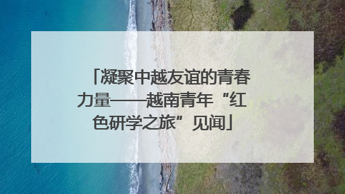 凝聚中越友谊的青春力量——越南青年“红色研学之旅”见闻