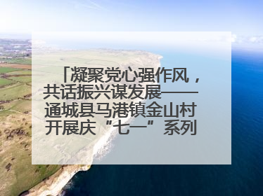 凝聚党心强作风，共话振兴谋发展——通城县马港镇金山村开展庆“七一”系列庆祝活动