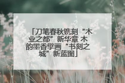 刀笔春秋镌刻“木业之都”新华章 木韵墨香擘画“书刻之城”新蓝图