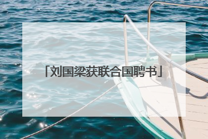 刘国梁获联合国聘书