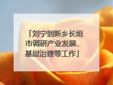 刘宁到新乡长垣市调研产业发展、基层治理等工作