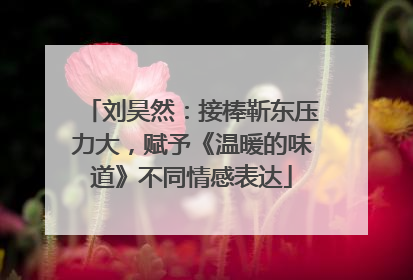 刘昊然：接棒靳东压力大，赋予《温暖的味道》不同情感表达