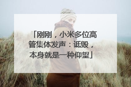 刚刚，小米多位高管集体发声：诋毁，本身就是一种仰望