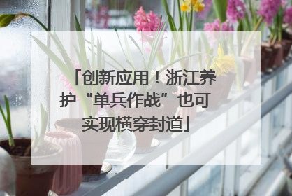 创新应用！浙江养护“单兵作战”也可实现横穿封道