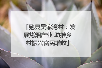 勉县吴家湾村：发展烤烟产业 助推乡村振兴富民增收