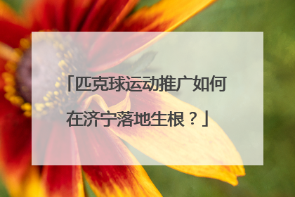 匹克球运动推广如何在济宁落地生根？