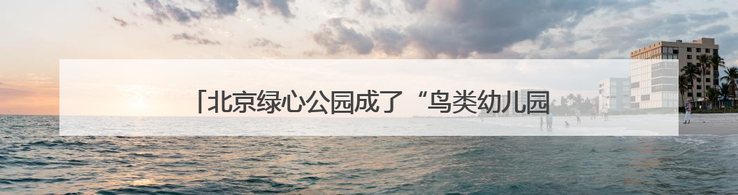 北京绿心公园成了“鸟类幼儿园”，福泽湖畔降生8只小鸳鸯