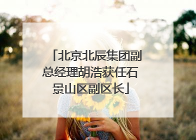 北京北辰集团副总经理胡浩获任石景山区副区长